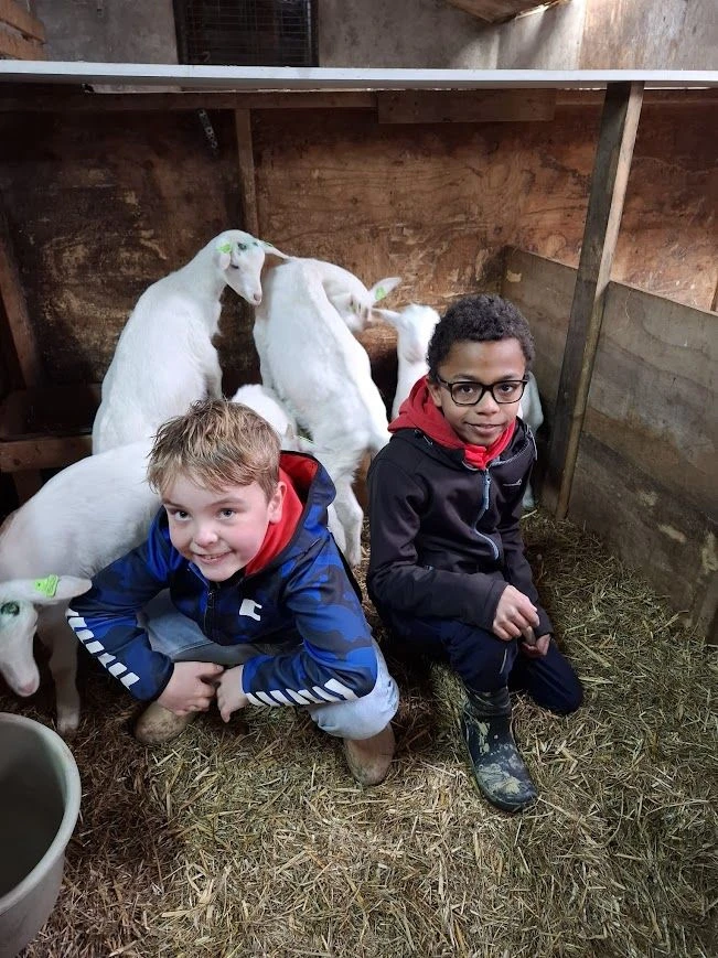 photo - De Geitenmeijerij