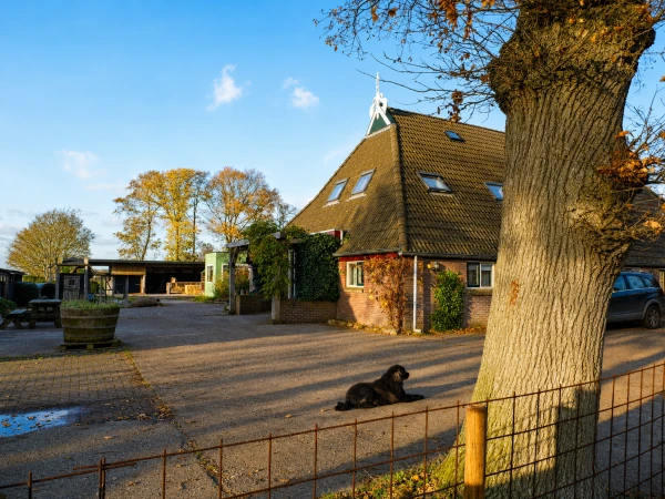 Dag van de zorg 2026